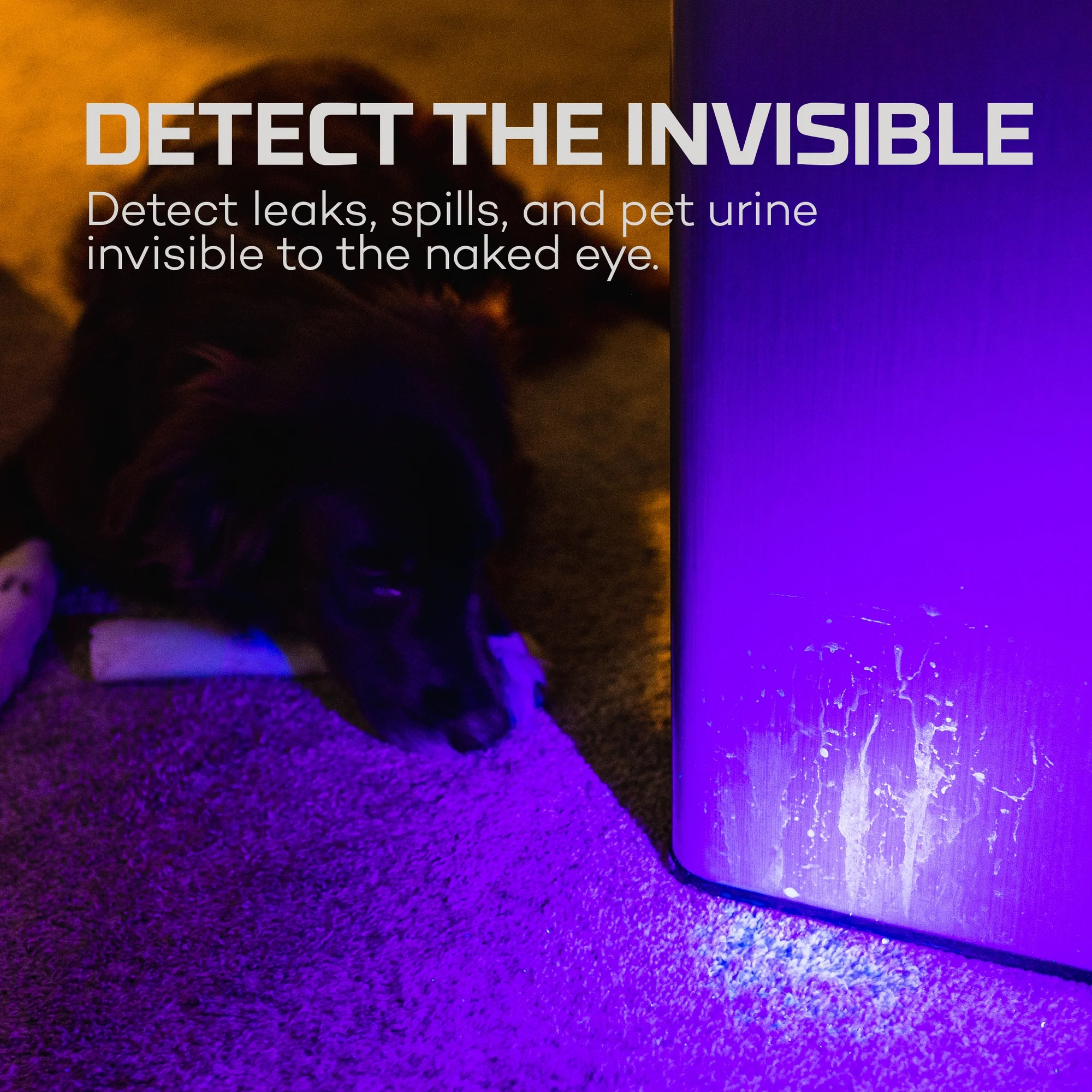 Torchy UV - Image 3